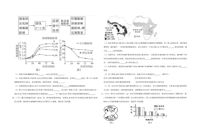2016年江苏省高考生物试卷_全国卷+地方卷_6.生物_1.生物高考真题试卷_2008-2020年_地方卷_江苏高考生物07-20_A3word版_PDF版（赠送）