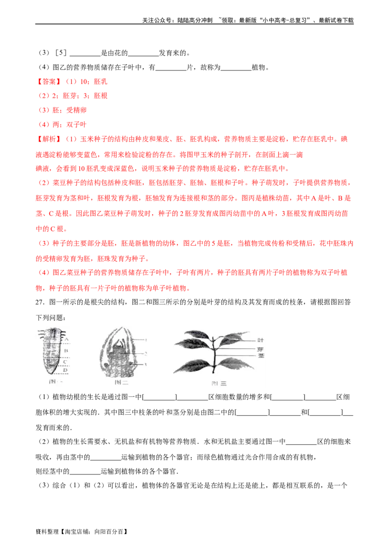 专题05被子植物的一生（习题精练）（解析版）_02中考总复习（2026版更新中）_08-生物-中考总复习_2024年中考复习资料_一轮复习_省心备考2024年中考生物一轮复习精讲精练（全国通用）