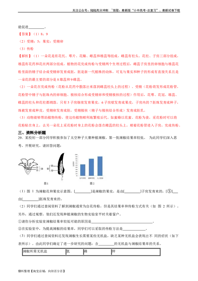 专题05被子植物的一生（习题精练）（解析版）_02中考总复习（2026版更新中）_08-生物-中考总复习_2024年中考复习资料_一轮复习_省心备考2024年中考生物一轮复习精讲精练（全国通用）