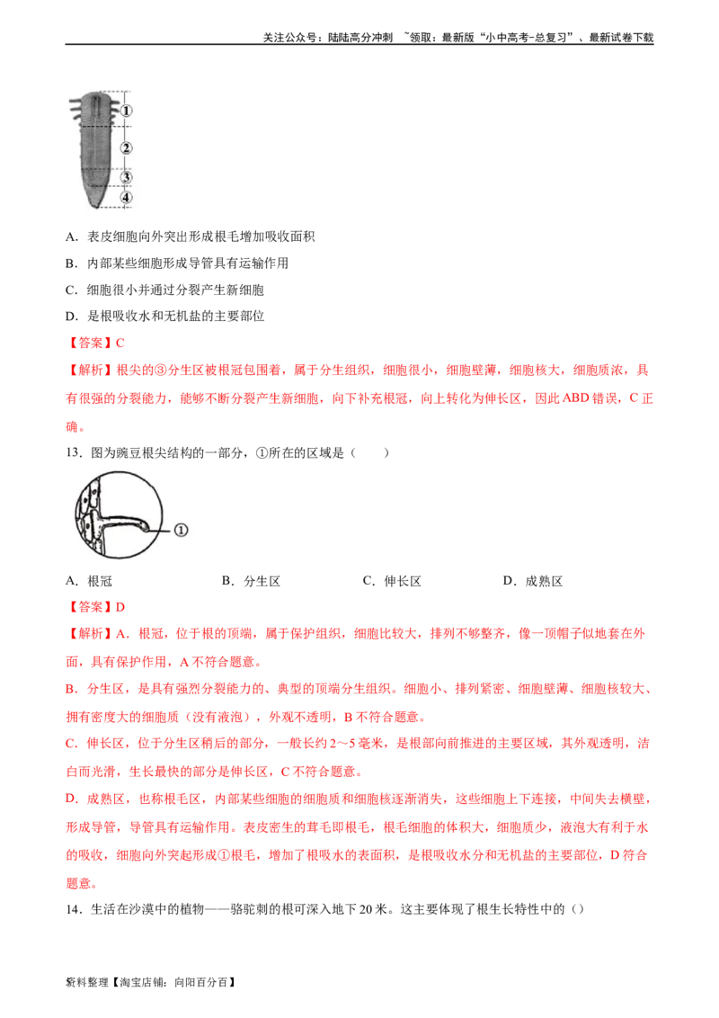专题05被子植物的一生（习题精练）（解析版）_02中考总复习（2026版更新中）_08-生物-中考总复习_2024年中考复习资料_一轮复习_省心备考2024年中考生物一轮复习精讲精练（全国通用）
