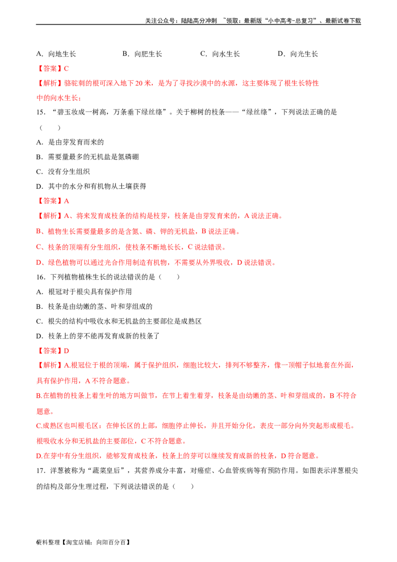 专题05被子植物的一生（习题精练）（解析版）_02中考总复习（2026版更新中）_08-生物-中考总复习_2024年中考复习资料_一轮复习_省心备考2024年中考生物一轮复习精讲精练（全国通用）