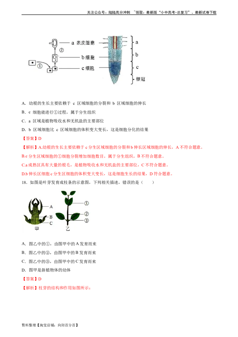 专题05被子植物的一生（习题精练）（解析版）_02中考总复习（2026版更新中）_08-生物-中考总复习_2024年中考复习资料_一轮复习_省心备考2024年中考生物一轮复习精讲精练（全国通用）
