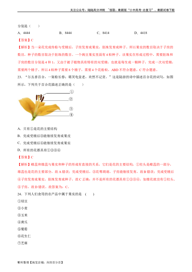 专题05被子植物的一生（习题精练）（解析版）_02中考总复习（2026版更新中）_08-生物-中考总复习_2024年中考复习资料_一轮复习_省心备考2024年中考生物一轮复习精讲精练（全国通用）