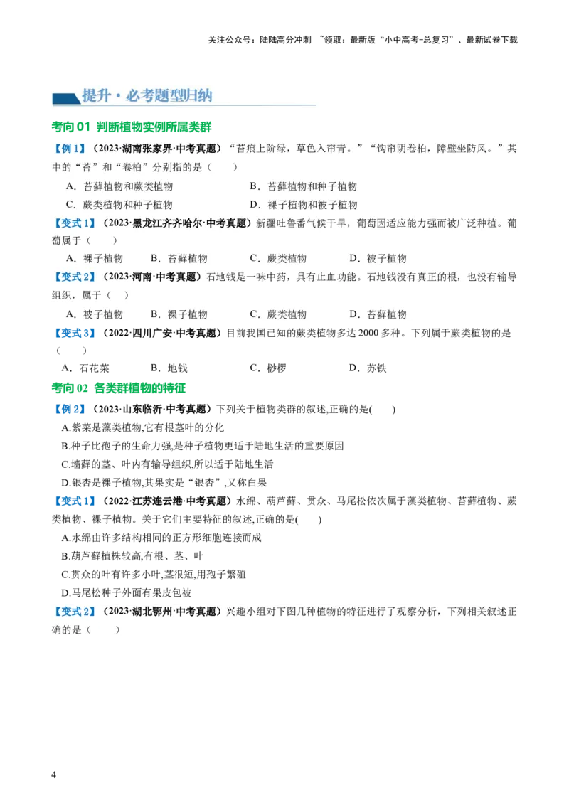 专题04生物圈中有哪些绿色植物（讲义）（原卷版）_02中考总复习（2026版更新中）_08-生物-中考总复习_2024年中考复习资料_一轮复习_❤2024年中考生物一轮复习讲练测（全国通用）_讲义