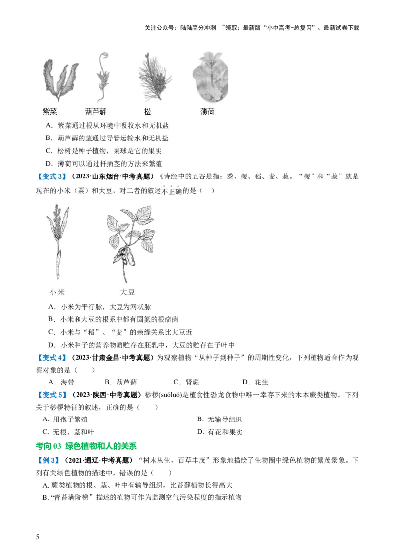 专题04生物圈中有哪些绿色植物（讲义）（原卷版）_02中考总复习（2026版更新中）_08-生物-中考总复习_2024年中考复习资料_一轮复习_❤2024年中考生物一轮复习讲练测（全国通用）_讲义