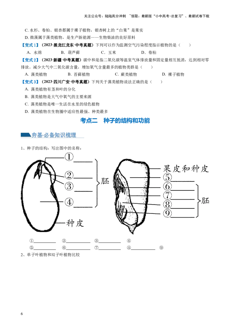 专题04生物圈中有哪些绿色植物（讲义）（原卷版）_02中考总复习（2026版更新中）_08-生物-中考总复习_2024年中考复习资料_一轮复习_❤2024年中考生物一轮复习讲练测（全国通用）_讲义