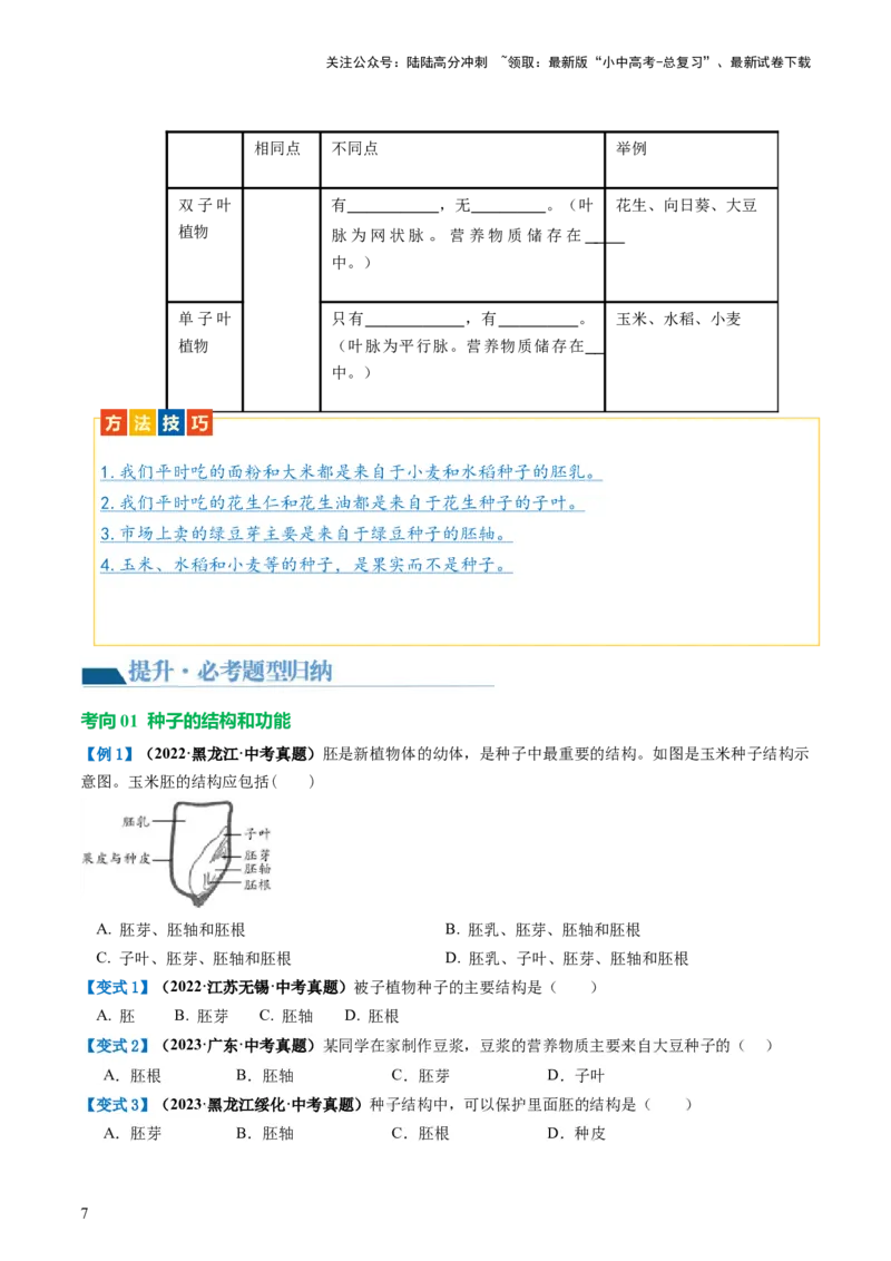 专题04生物圈中有哪些绿色植物（讲义）（原卷版）_02中考总复习（2026版更新中）_08-生物-中考总复习_2024年中考复习资料_一轮复习_❤2024年中考生物一轮复习讲练测（全国通用）_讲义