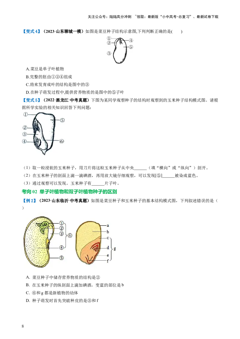 专题04生物圈中有哪些绿色植物（讲义）（原卷版）_02中考总复习（2026版更新中）_08-生物-中考总复习_2024年中考复习资料_一轮复习_❤2024年中考生物一轮复习讲练测（全国通用）_讲义