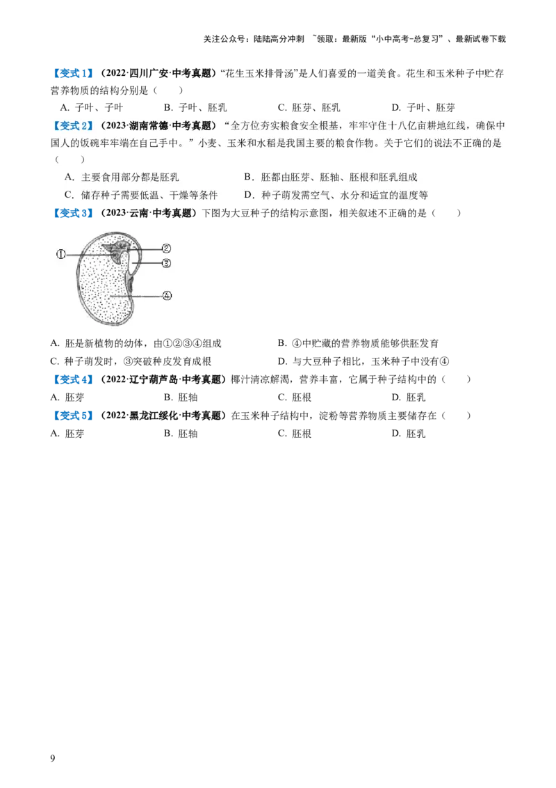 专题04生物圈中有哪些绿色植物（讲义）（原卷版）_02中考总复习（2026版更新中）_08-生物-中考总复习_2024年中考复习资料_一轮复习_❤2024年中考生物一轮复习讲练测（全国通用）_讲义