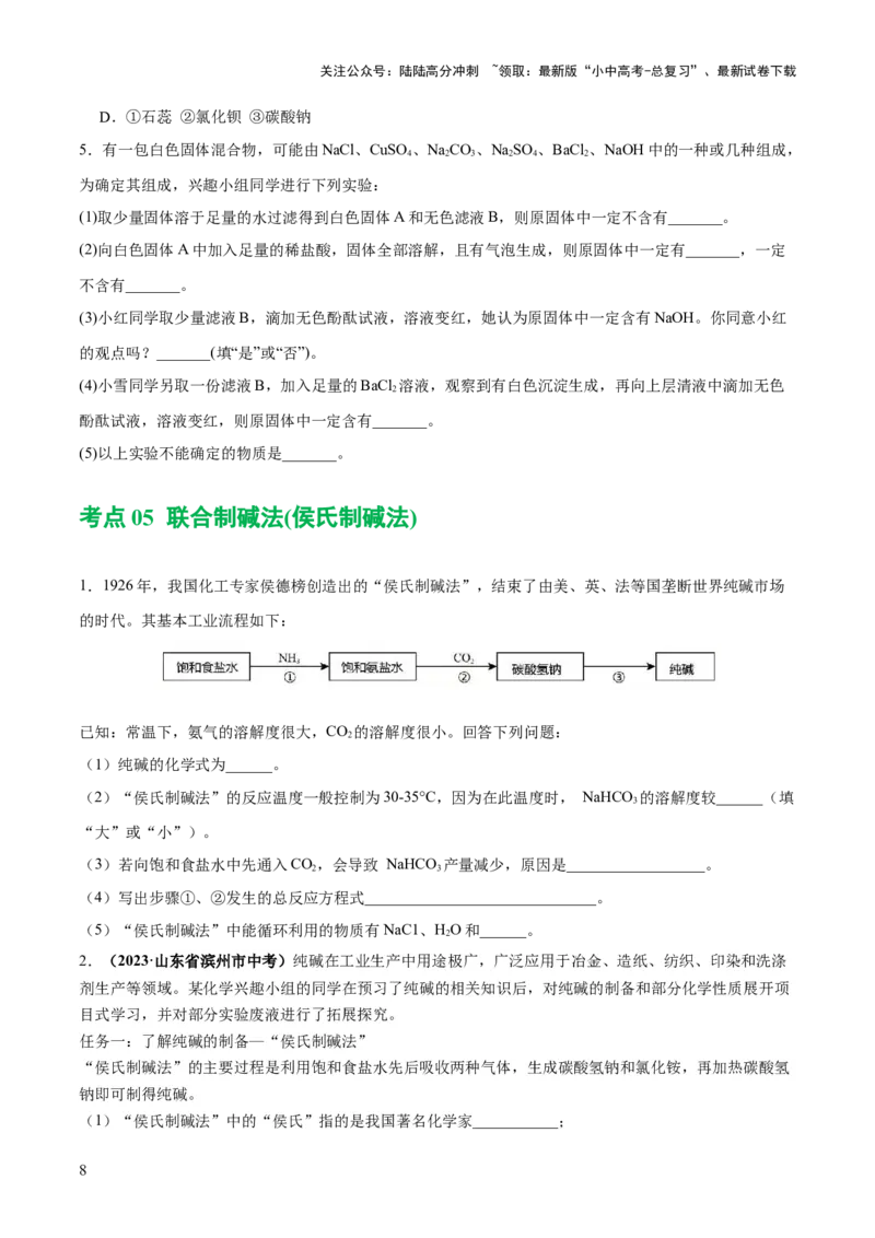 专题08盐化肥（练习）-2024年中考化学一轮复习讲练测（全国通用）（原卷版）_02中考总复习（2026版更新中）_05-化学-中考总复习_2024年中考复习资料_一轮复习资料