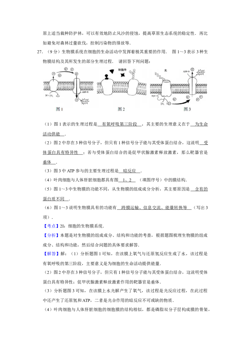 2014年江苏省高考生物试卷解析版_全国卷+地方卷_6.生物_1.生物高考真题试卷_2008-2020年_地方卷_江苏高考生物07-20_A4word版