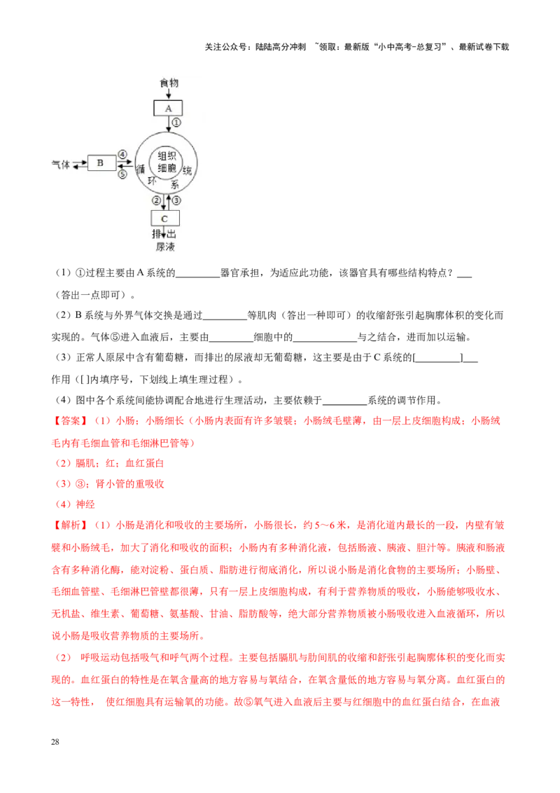 专题06&nbsp;人体的营养和呼吸（解析版）_02中考总复习（2026版更新中）_08-生物-中考总复习_2024年中考复习资料_专项复习_完三年（2021-2023）中考生物真题分项汇编（全国通用）_答案解析版