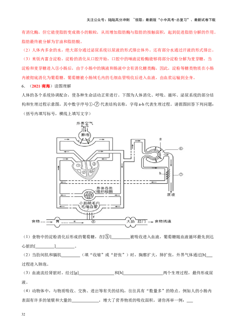 专题06&nbsp;人体的营养和呼吸（解析版）_02中考总复习（2026版更新中）_08-生物-中考总复习_2024年中考复习资料_专项复习_完三年（2021-2023）中考生物真题分项汇编（全国通用）_答案解析版