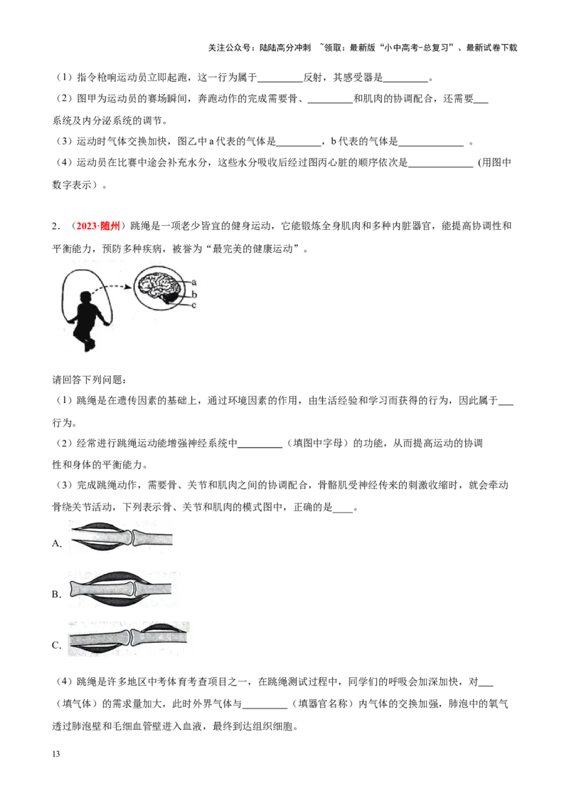 专题09&nbsp;动物的运动和行为（原卷版）_02中考总复习（2026版更新中）_08-生物-中考总复习_2024年中考复习资料_专项复习_完三年（2021-2023）中考生物真题分项汇编（全国通用）