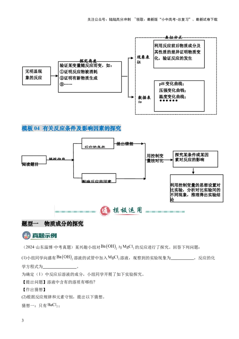 专题08实验探究题（解析版）_02中考总复习（2026版更新中）_05-化学-中考总复习_2025年中考复习资料_2025年中考化学答题方法模板_专题08实验探究题-2025年中考化学答题方法模板