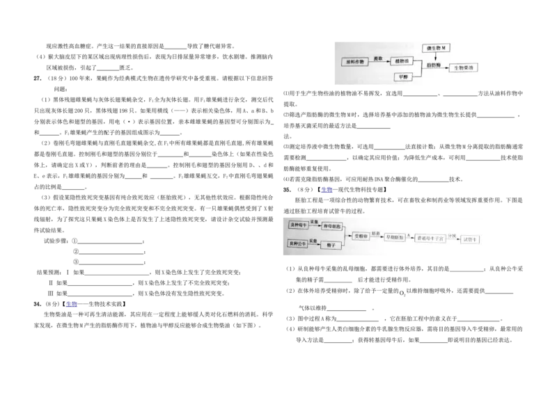 2010年高考真题生物（山东卷）（原卷版）_全国卷+地方卷_6.生物_1.生物高考真题试卷_2008-2020年_地方卷_山东高考生物08-21_山东高考生物_A3版