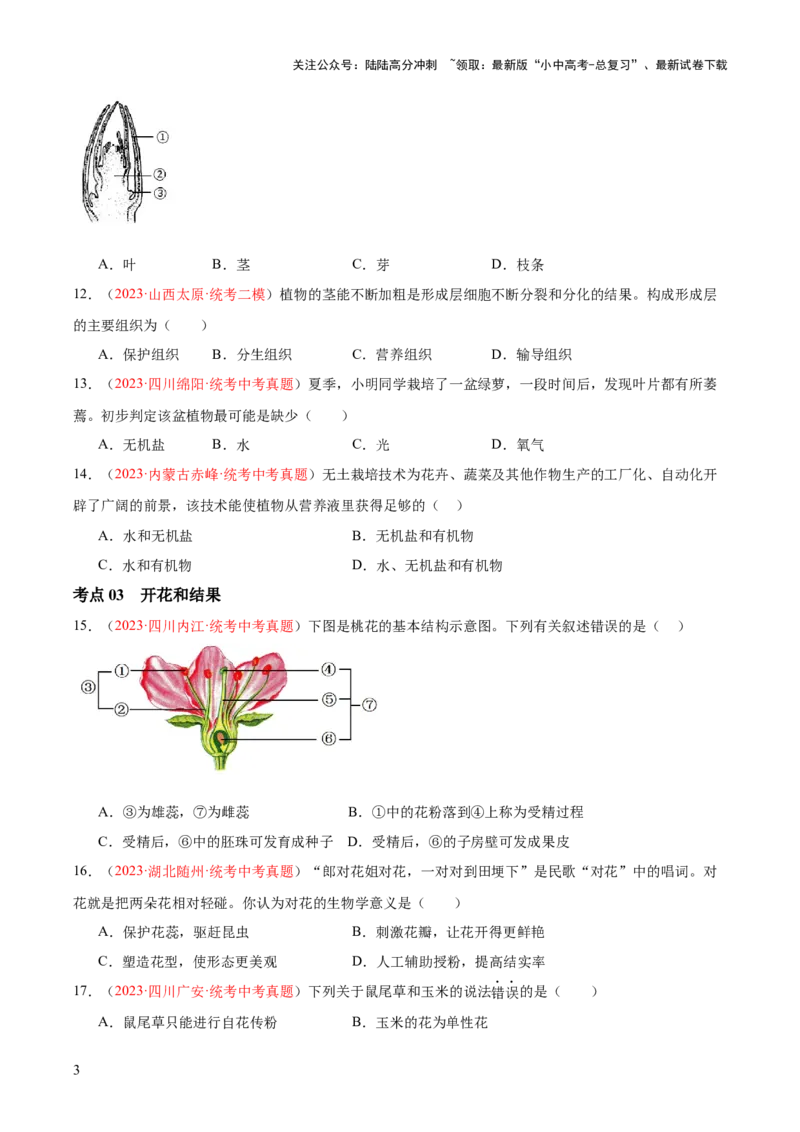 专题05被子植物的一生（原卷版）_02中考总复习（2026版更新中）_08-生物-中考总复习_2024年中考复习资料_一轮复习_❤备战2024年中考生物一轮复习考点帮（全国通用）_练习