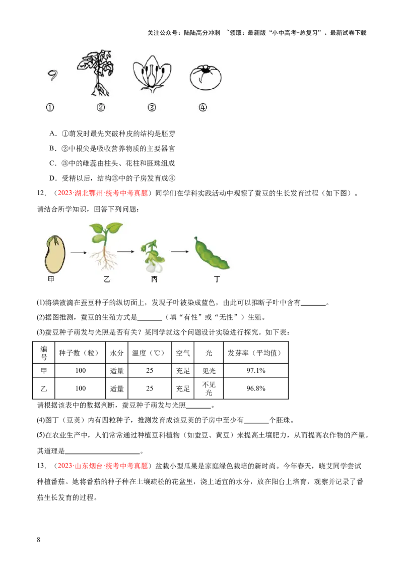 专题05被子植物的一生（原卷版）_02中考总复习（2026版更新中）_08-生物-中考总复习_2024年中考复习资料_一轮复习_❤备战2024年中考生物一轮复习考点帮（全国通用）_练习