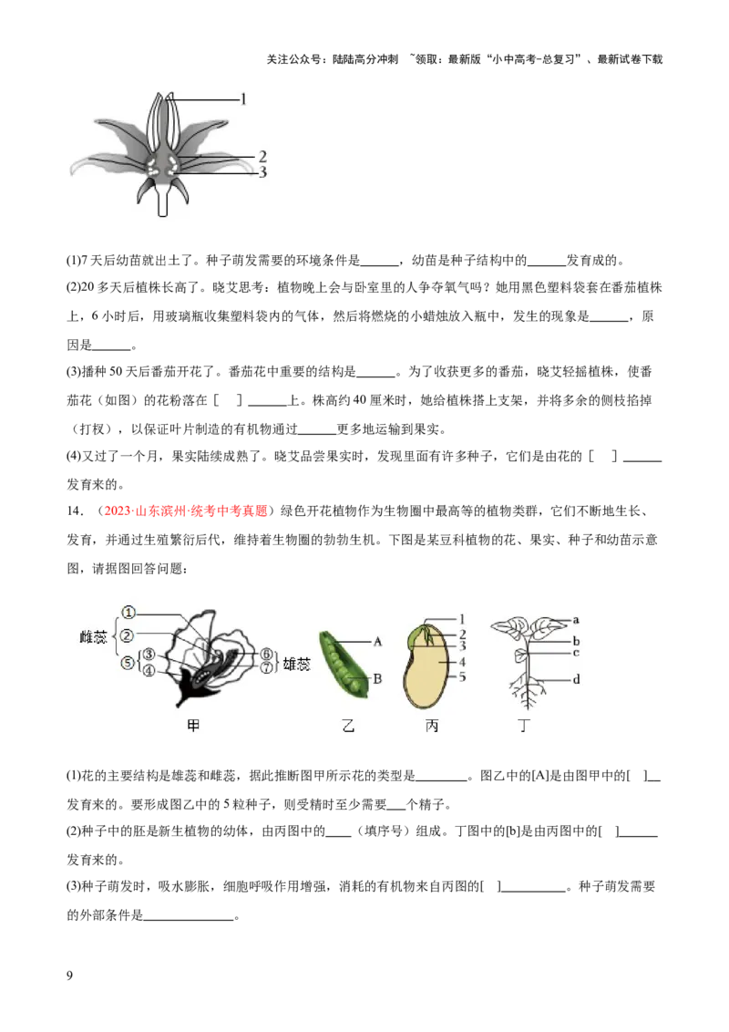 专题05被子植物的一生（原卷版）_02中考总复习（2026版更新中）_08-生物-中考总复习_2024年中考复习资料_一轮复习_❤备战2024年中考生物一轮复习考点帮（全国通用）_练习