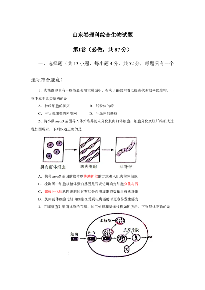 2013年高考真题生物（山东卷）（原卷版）_全国卷+地方卷_6.生物_1.生物高考真题试卷_2008-2020年_地方卷_山东高考生物08-21_山东高考生物_A4版