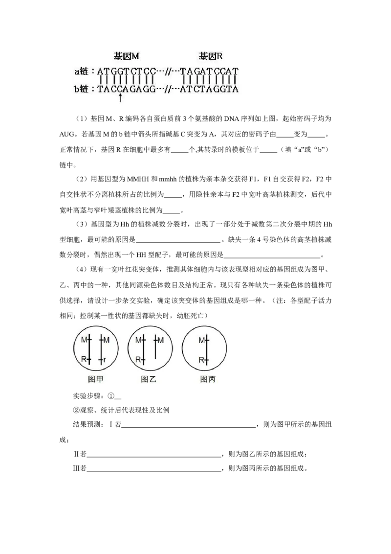 2013年高考真题生物（山东卷）（原卷版）_全国卷+地方卷_6.生物_1.生物高考真题试卷_2008-2020年_地方卷_山东高考生物08-21_山东高考生物_A4版