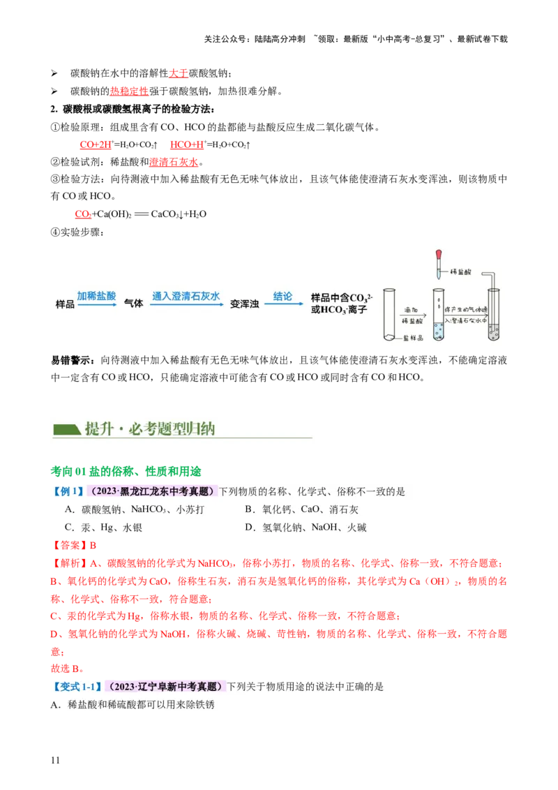 专题08盐化肥（讲义）-2024年中考化学一轮复习讲练测（全国通用）（解析版）_02中考总复习（2026版更新中）_05-化学-中考总复习_2024年中考复习资料_一轮复习资料