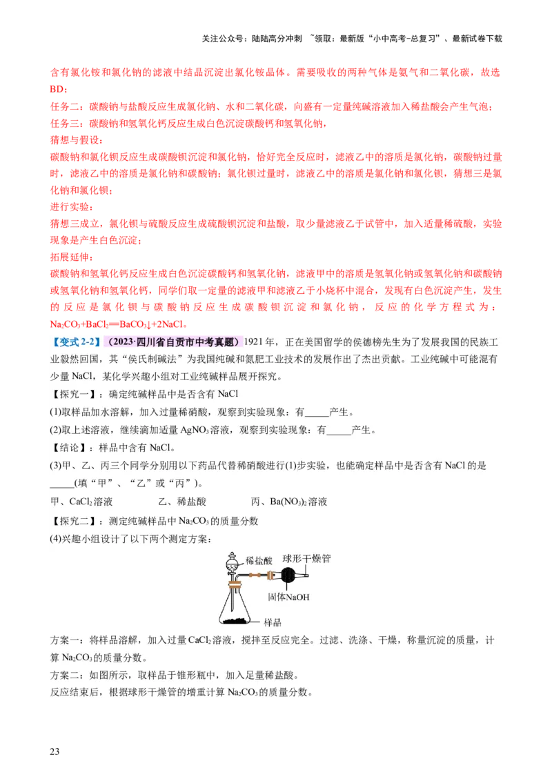 专题08盐化肥（讲义）-2024年中考化学一轮复习讲练测（全国通用）（解析版）_02中考总复习（2026版更新中）_05-化学-中考总复习_2024年中考复习资料_一轮复习资料