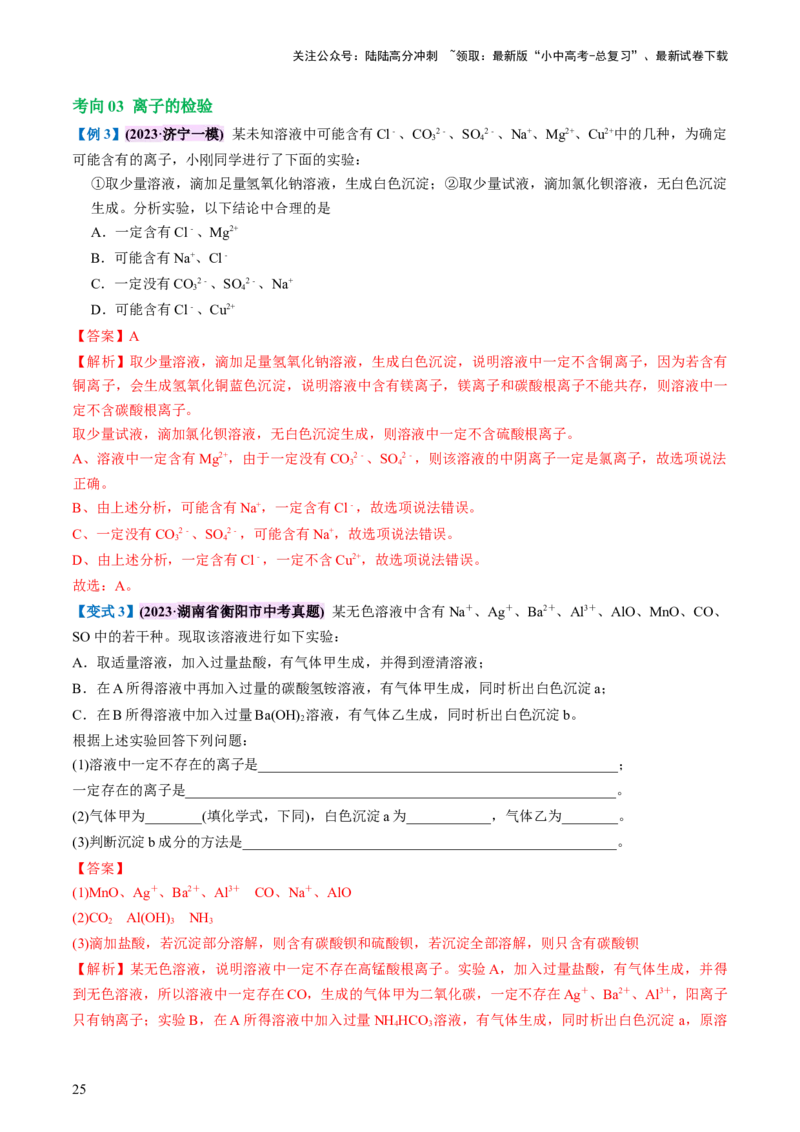 专题08盐化肥（讲义）-2024年中考化学一轮复习讲练测（全国通用）（解析版）_02中考总复习（2026版更新中）_05-化学-中考总复习_2024年中考复习资料_一轮复习资料