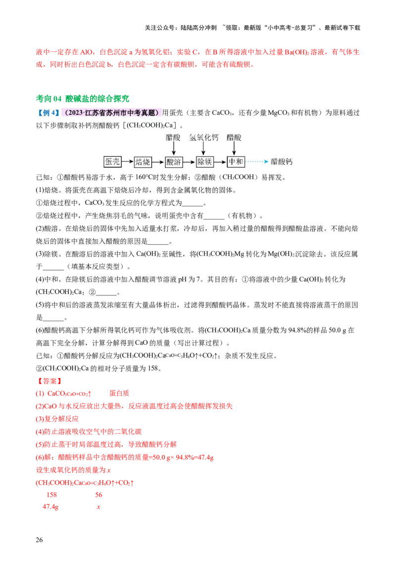 专题08盐化肥（讲义）-2024年中考化学一轮复习讲练测（全国通用）（解析版）_02中考总复习（2026版更新中）_05-化学-中考总复习_2024年中考复习资料_一轮复习资料