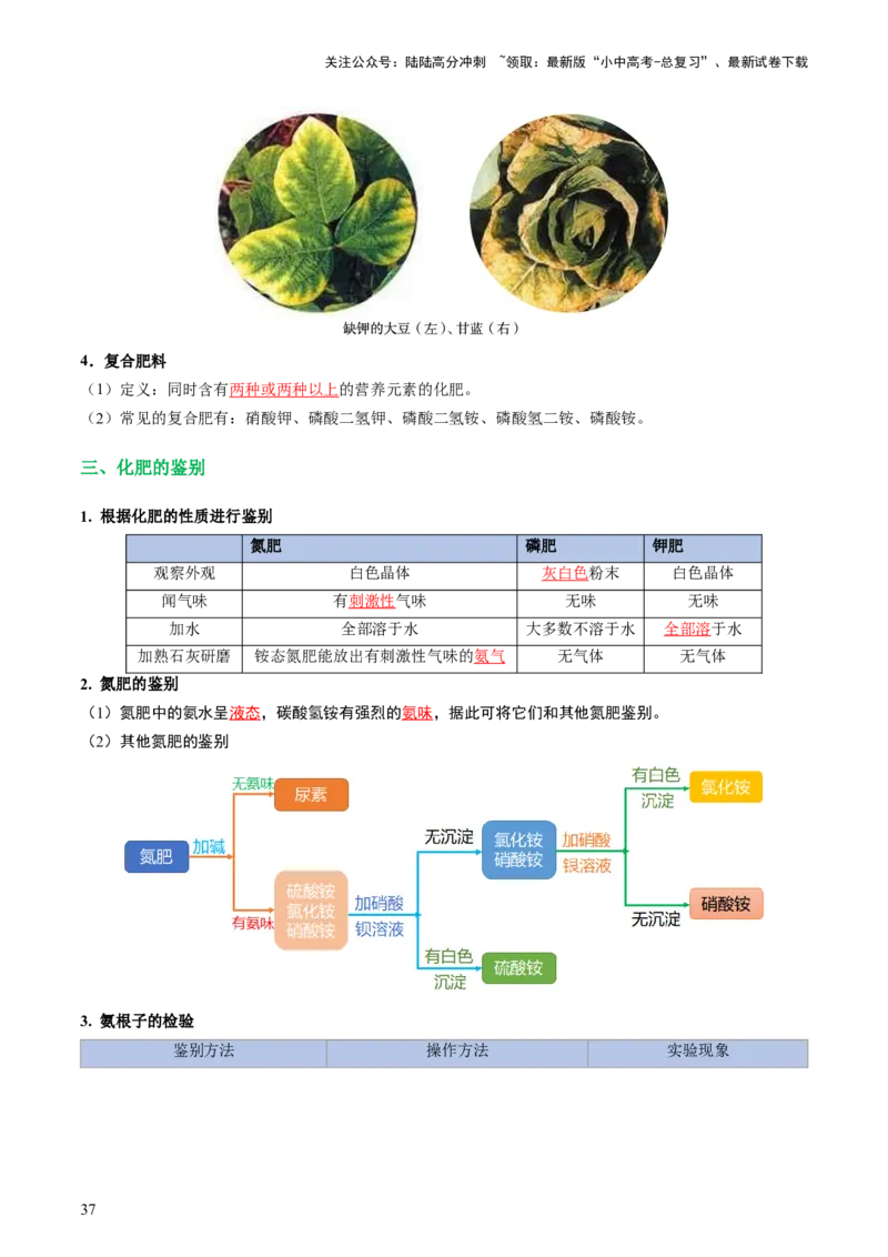 专题08盐化肥（讲义）-2024年中考化学一轮复习讲练测（全国通用）（解析版）_02中考总复习（2026版更新中）_05-化学-中考总复习_2024年中考复习资料_一轮复习资料