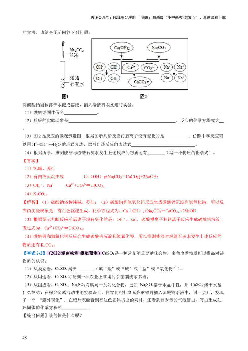 专题08盐化肥（讲义）-2024年中考化学一轮复习讲练测（全国通用）（解析版）_02中考总复习（2026版更新中）_05-化学-中考总复习_2024年中考复习资料_一轮复习资料