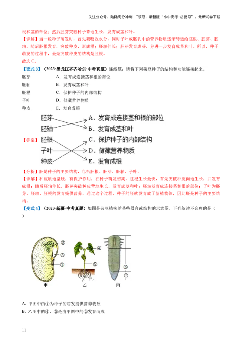 专题05被子植物的一生（讲义）（解析版）_02中考总复习（2026版更新中）_08-生物-中考总复习_2024年中考复习资料_一轮复习_❤2024年中考生物一轮复习讲练测（全国通用）_讲义