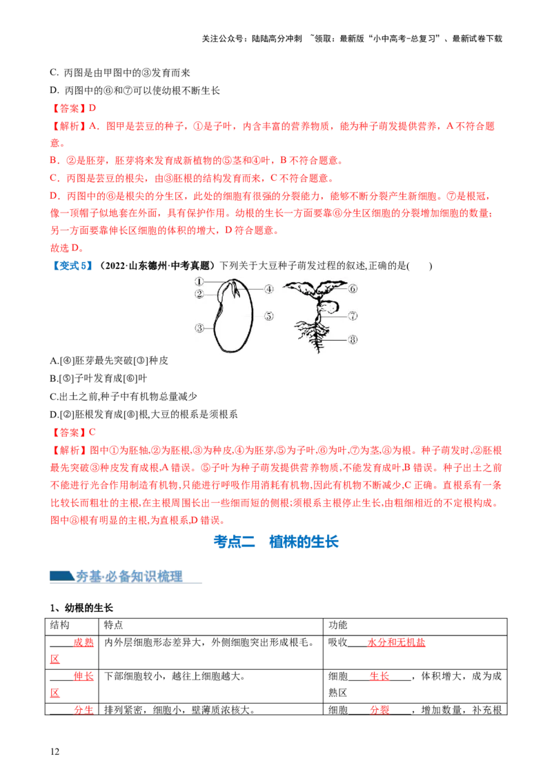 专题05被子植物的一生（讲义）（解析版）_02中考总复习（2026版更新中）_08-生物-中考总复习_2024年中考复习资料_一轮复习_❤2024年中考生物一轮复习讲练测（全国通用）_讲义
