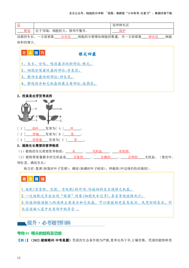 专题05被子植物的一生（讲义）（解析版）_02中考总复习（2026版更新中）_08-生物-中考总复习_2024年中考复习资料_一轮复习_❤2024年中考生物一轮复习讲练测（全国通用）_讲义