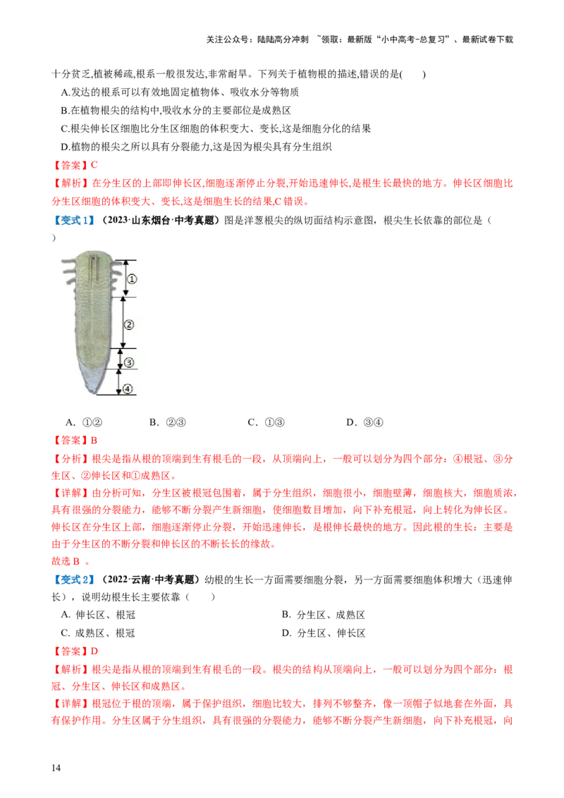 专题05被子植物的一生（讲义）（解析版）_02中考总复习（2026版更新中）_08-生物-中考总复习_2024年中考复习资料_一轮复习_❤2024年中考生物一轮复习讲练测（全国通用）_讲义