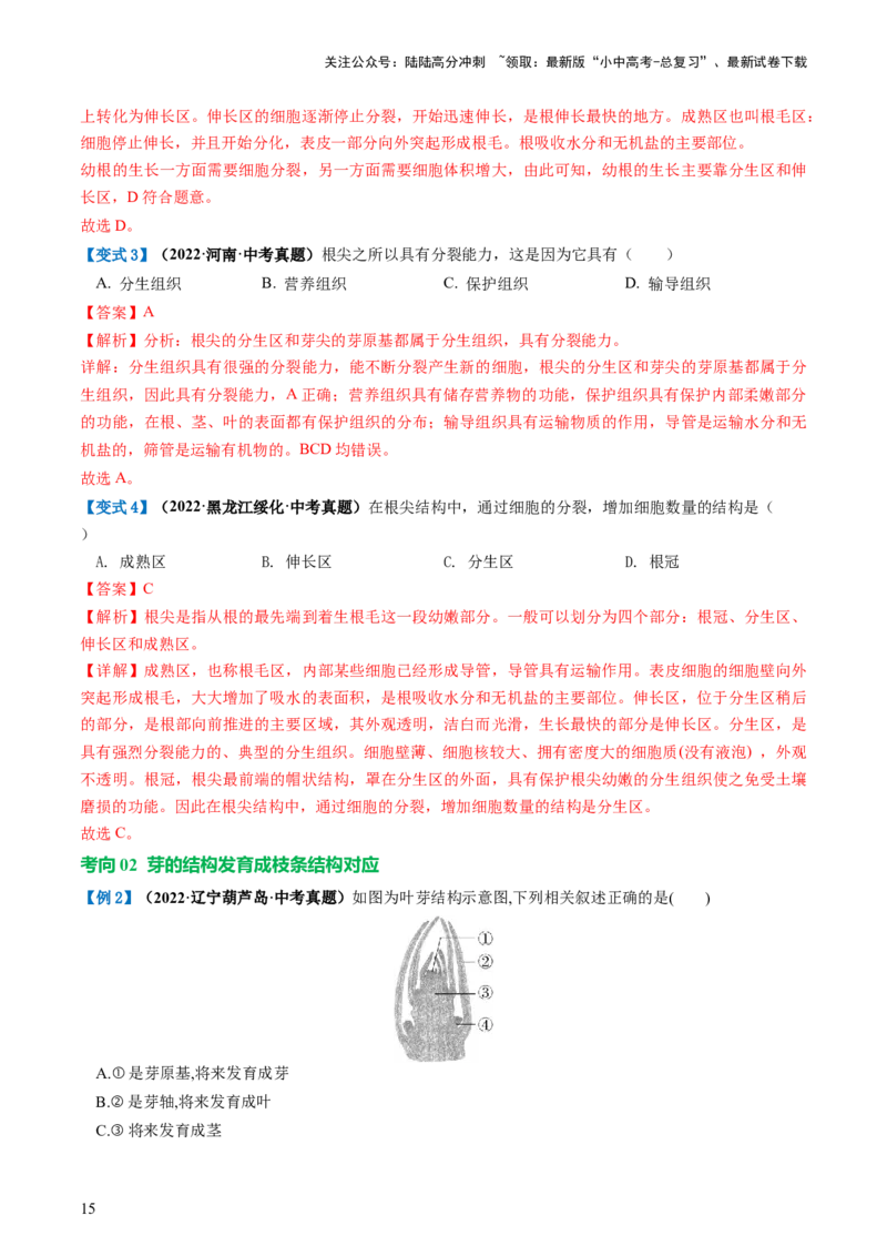 专题05被子植物的一生（讲义）（解析版）_02中考总复习（2026版更新中）_08-生物-中考总复习_2024年中考复习资料_一轮复习_❤2024年中考生物一轮复习讲练测（全国通用）_讲义