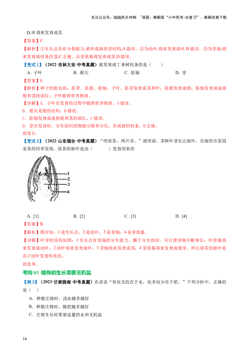 专题05被子植物的一生（讲义）（解析版）_02中考总复习（2026版更新中）_08-生物-中考总复习_2024年中考复习资料_一轮复习_❤2024年中考生物一轮复习讲练测（全国通用）_讲义