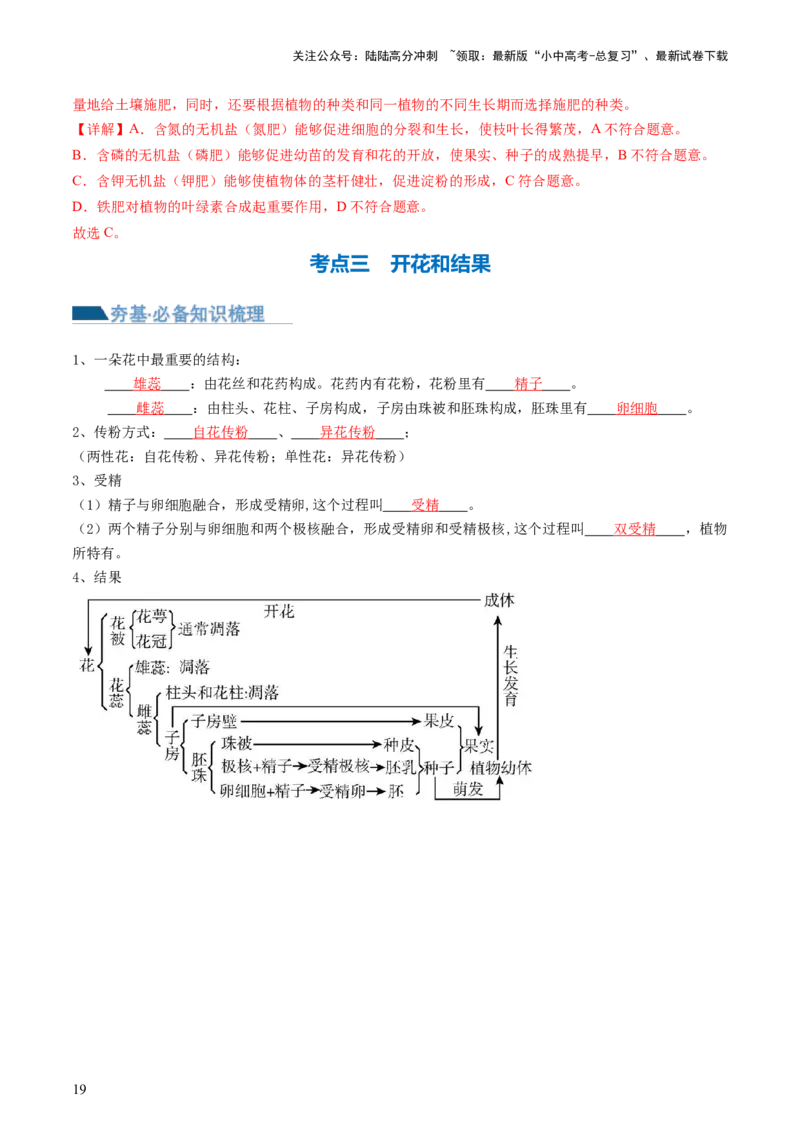 专题05被子植物的一生（讲义）（解析版）_02中考总复习（2026版更新中）_08-生物-中考总复习_2024年中考复习资料_一轮复习_❤2024年中考生物一轮复习讲练测（全国通用）_讲义