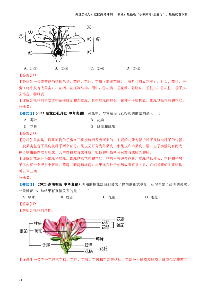 专题05被子植物的一生（讲义）（解析版）_02中考总复习（2026版更新中）_08-生物-中考总复习_2024年中考复习资料_一轮复习_❤2024年中考生物一轮复习讲练测（全国通用）_讲义