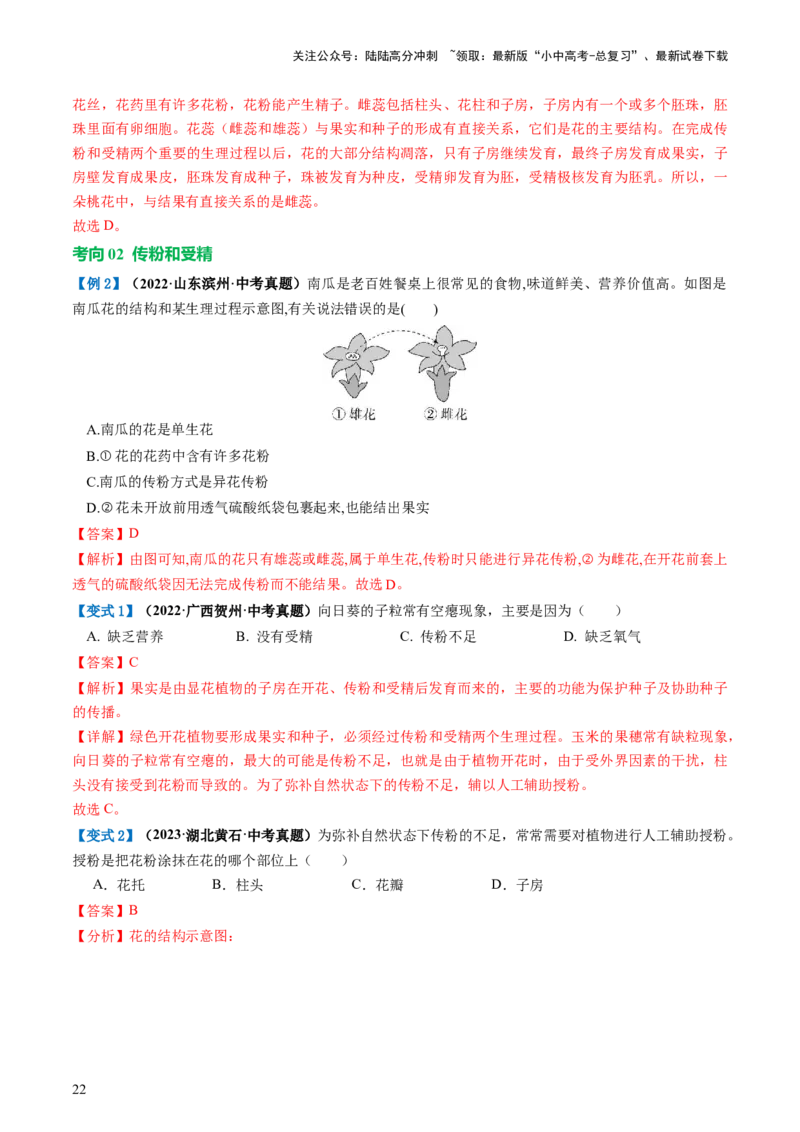 专题05被子植物的一生（讲义）（解析版）_02中考总复习（2026版更新中）_08-生物-中考总复习_2024年中考复习资料_一轮复习_❤2024年中考生物一轮复习讲练测（全国通用）_讲义