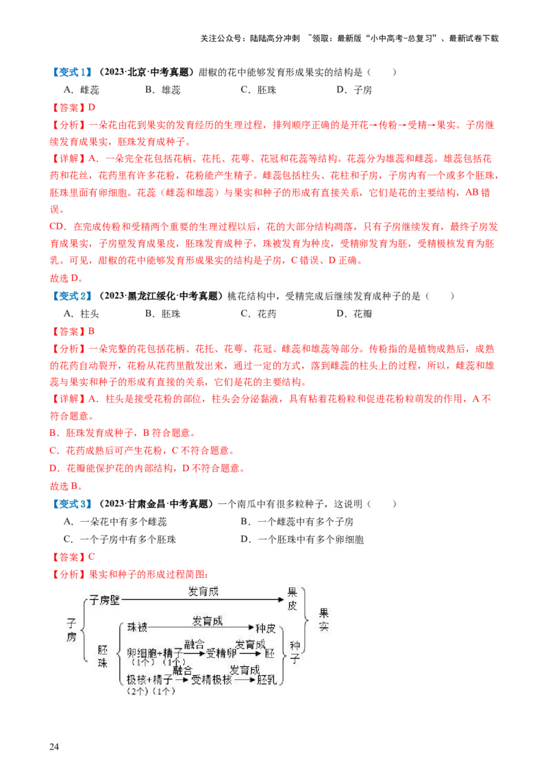 专题05被子植物的一生（讲义）（解析版）_02中考总复习（2026版更新中）_08-生物-中考总复习_2024年中考复习资料_一轮复习_❤2024年中考生物一轮复习讲练测（全国通用）_讲义
