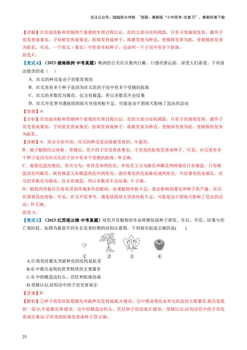 专题05被子植物的一生（讲义）（解析版）_02中考总复习（2026版更新中）_08-生物-中考总复习_2024年中考复习资料_一轮复习_❤2024年中考生物一轮复习讲练测（全国通用）_讲义