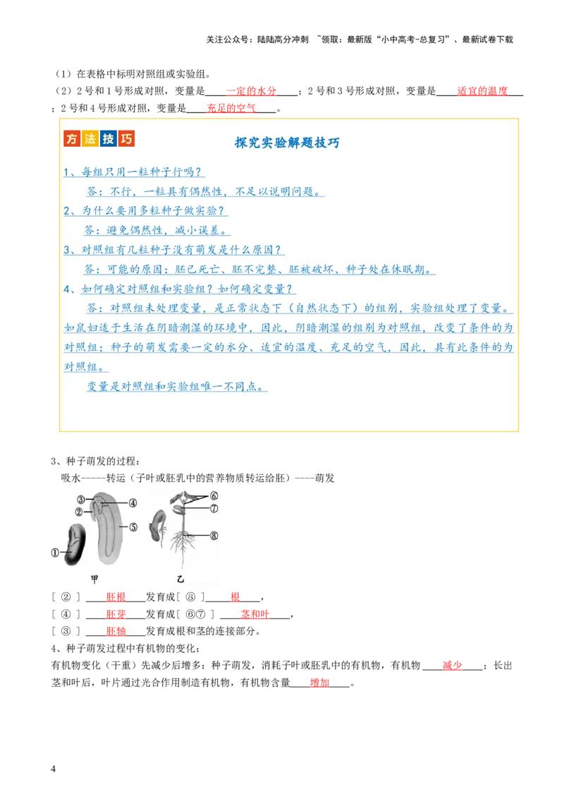 专题05被子植物的一生（讲义）（解析版）_02中考总复习（2026版更新中）_08-生物-中考总复习_2024年中考复习资料_一轮复习_❤2024年中考生物一轮复习讲练测（全国通用）_讲义