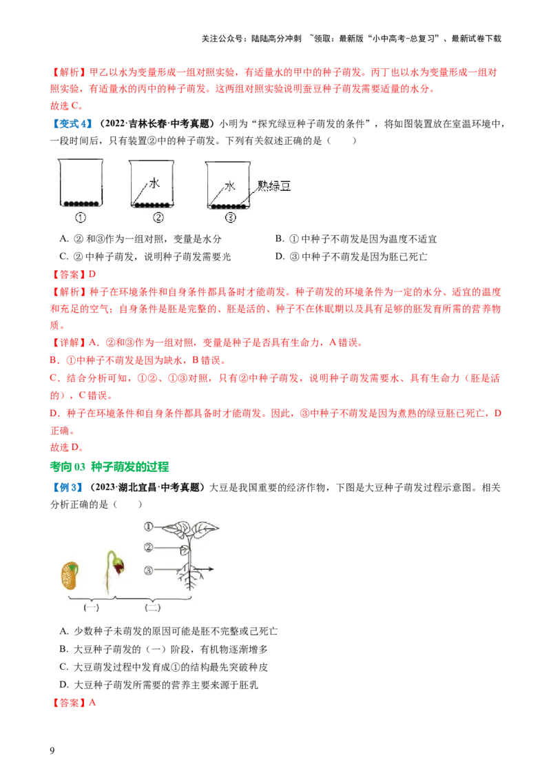专题05被子植物的一生（讲义）（解析版）_02中考总复习（2026版更新中）_08-生物-中考总复习_2024年中考复习资料_一轮复习_❤2024年中考生物一轮复习讲练测（全国通用）_讲义
