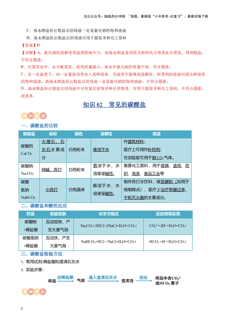 专题08盐、化肥（解析版）_02中考总复习（2026版更新中）_05-化学-中考总复习_2024年中考复习资料_一轮复习资料_完口袋书2024年中考化学一轮复习知识清单_教师版（含答案解析）