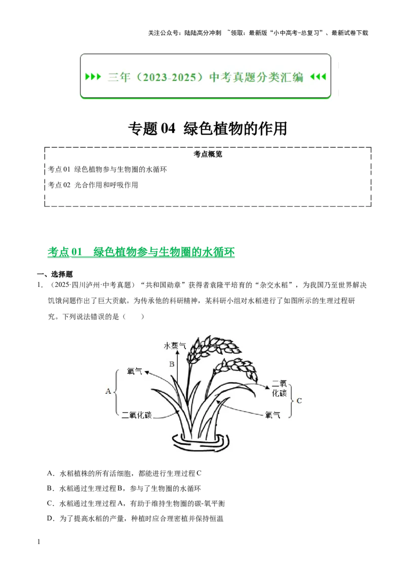 专题04绿色植物的作用（全国通用）（原卷版）_02中考总复习（2026版更新中）_08-生物-中考总复习_2026年中考复习（更新中）