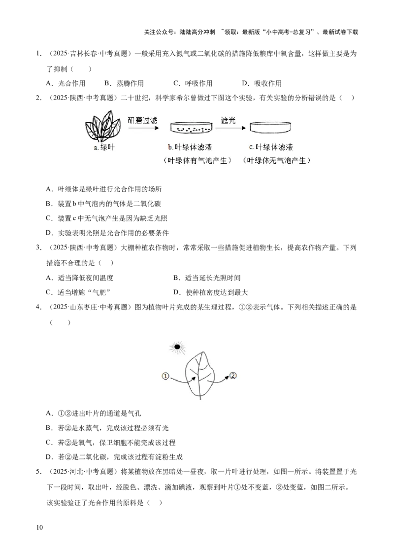 专题04绿色植物的作用（全国通用）（原卷版）_02中考总复习（2026版更新中）_08-生物-中考总复习_2026年中考复习（更新中）