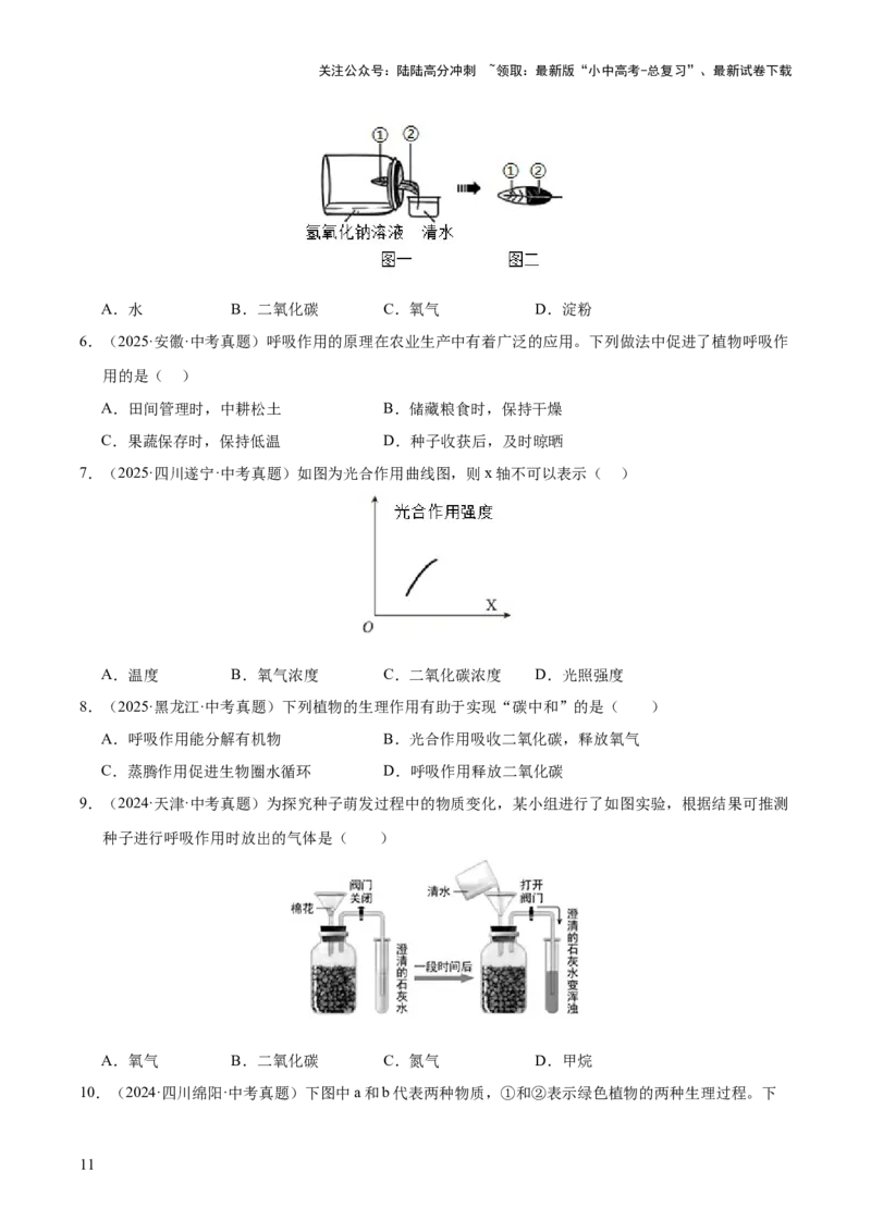 专题04绿色植物的作用（全国通用）（原卷版）_02中考总复习（2026版更新中）_08-生物-中考总复习_2026年中考复习（更新中）