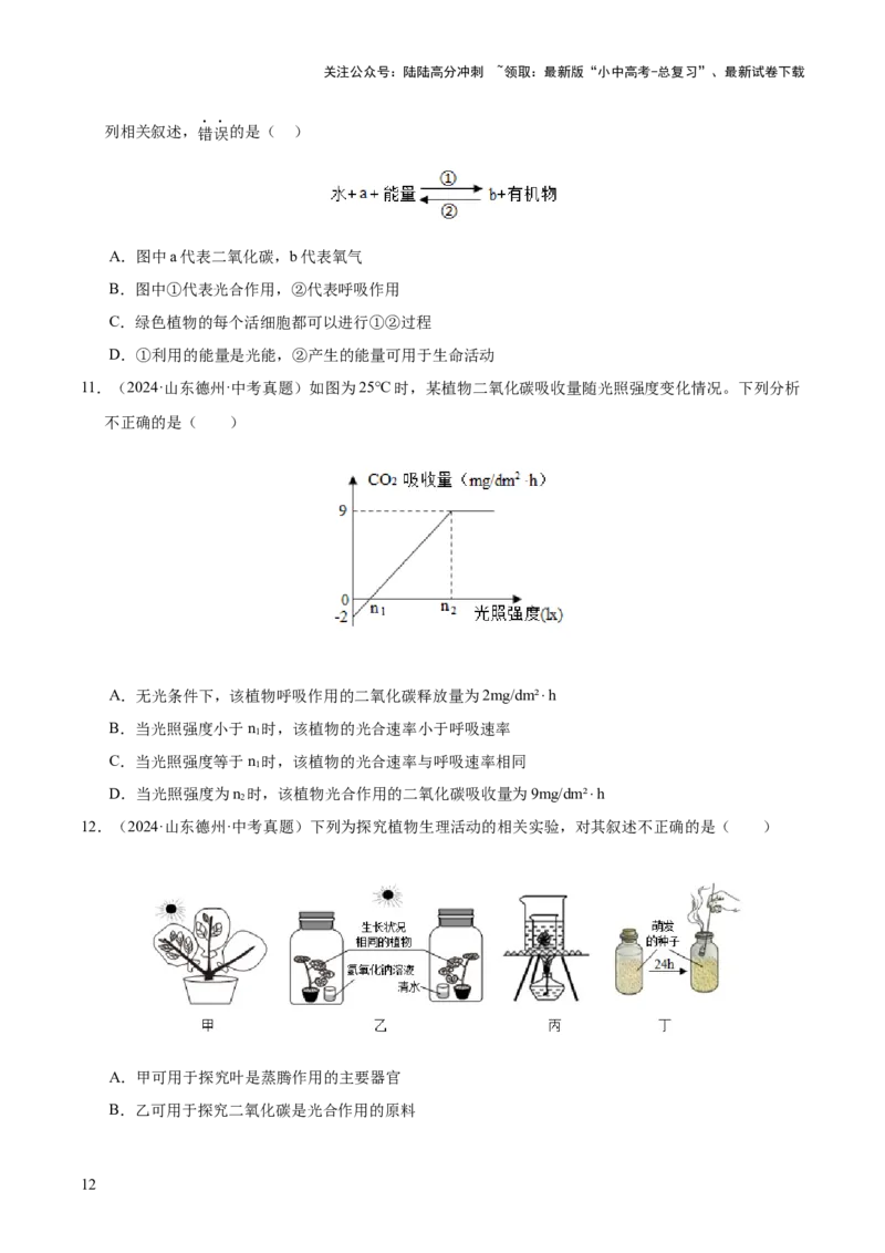 专题04绿色植物的作用（全国通用）（原卷版）_02中考总复习（2026版更新中）_08-生物-中考总复习_2026年中考复习（更新中）