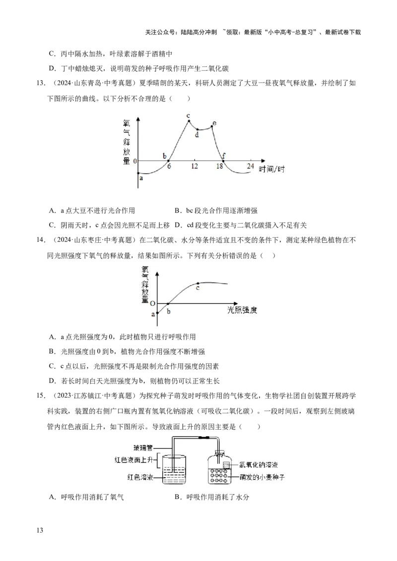 专题04绿色植物的作用（全国通用）（原卷版）_02中考总复习（2026版更新中）_08-生物-中考总复习_2026年中考复习（更新中）